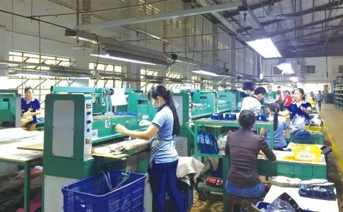 福建 智能 鞋廠,12個人一天生產1500雙